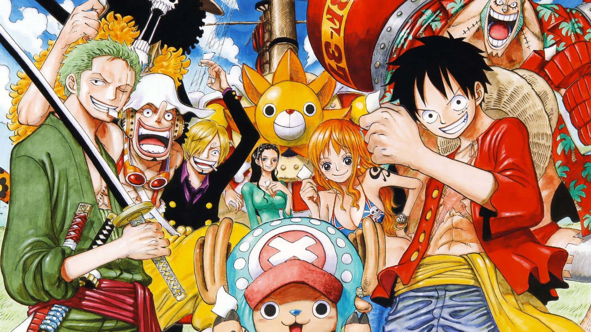 One Piece Straw Hat Pirates